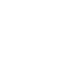 Search Icon